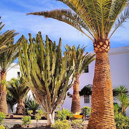Flor De Las Dunas Pools Wifi Tennis Bikes For Free コラレホ エクステリア 写真